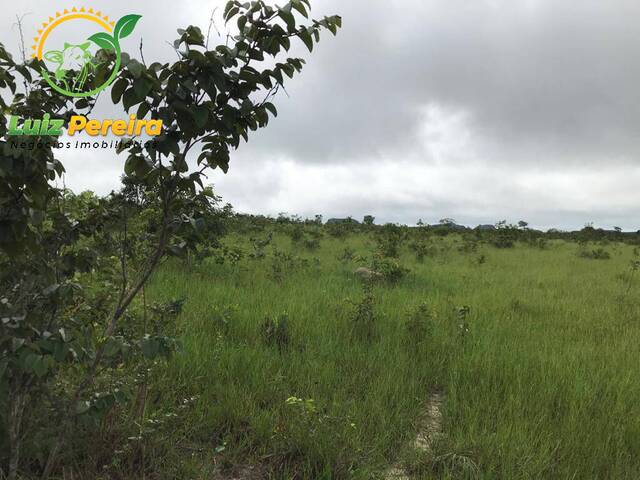 Fazenda para Venda em Recursolândia - 5