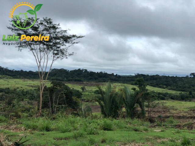 #1649 - Fazenda para Venda em Pacajá - PA - 3