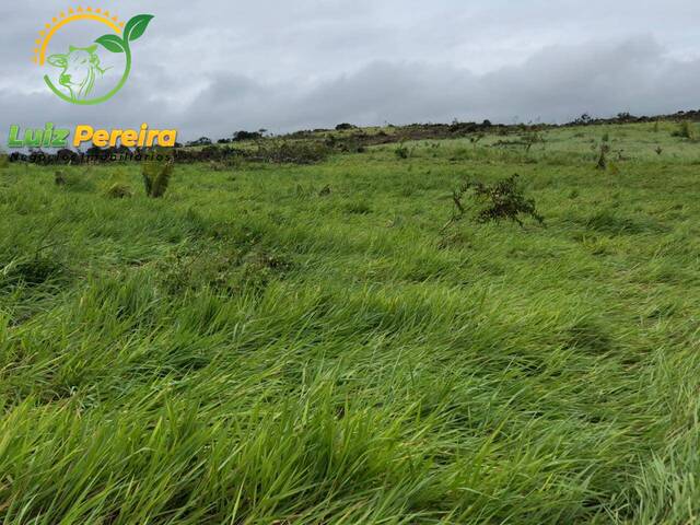 Fazenda para Venda em Pacajá - 4
