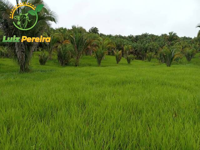 Fazenda para Venda em Pacajá - 5