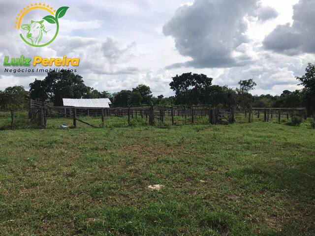 Fazenda para Venda em Dois Irmãos do Tocantins - 5