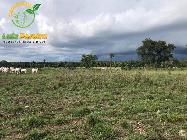 #1654 - Fazenda para Venda em Dois Irmãos do Tocantins - TO - 1