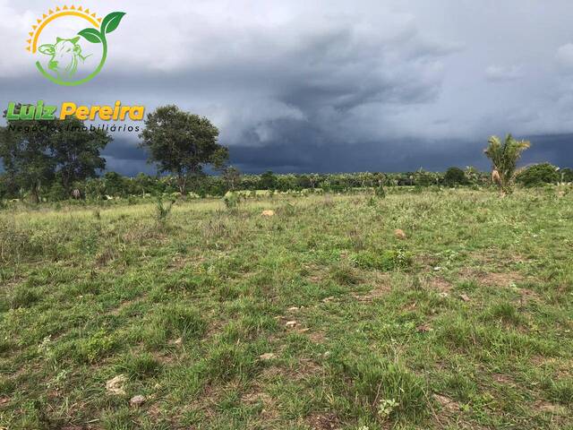 #1654 - Fazenda para Venda em Dois Irmãos do Tocantins - TO - 2