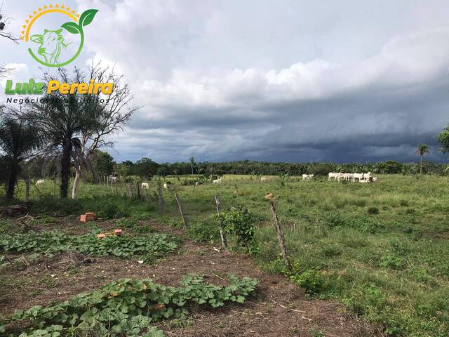 Fazenda para Venda em Dois Irmãos do Tocantins - 4