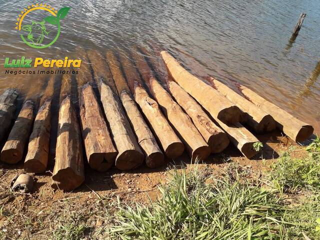 Fazenda para Venda em Tucuruí - 5
