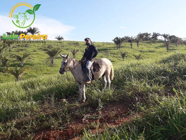Fazenda para Venda em Tucuruí - 4