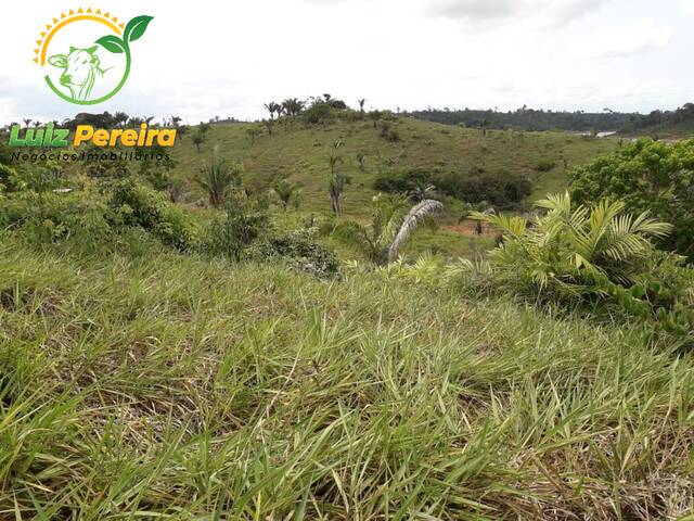 #1655 - Fazenda para Venda em Tucuruí - PA - 3
