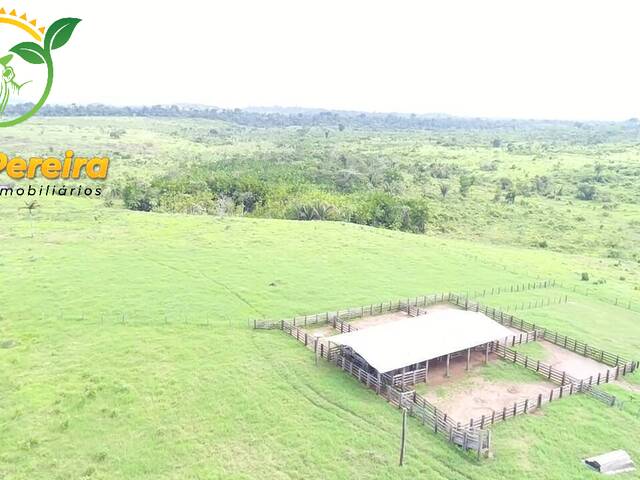 #1661 - Fazenda para Venda em Anapu - PA - 3