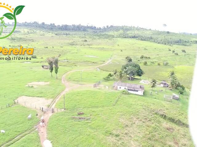 #1661 - Fazenda para Venda em Anapu - PA