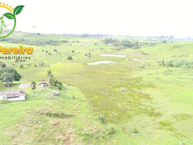 #1661 - Fazenda para Venda em Anapu - PA - 2