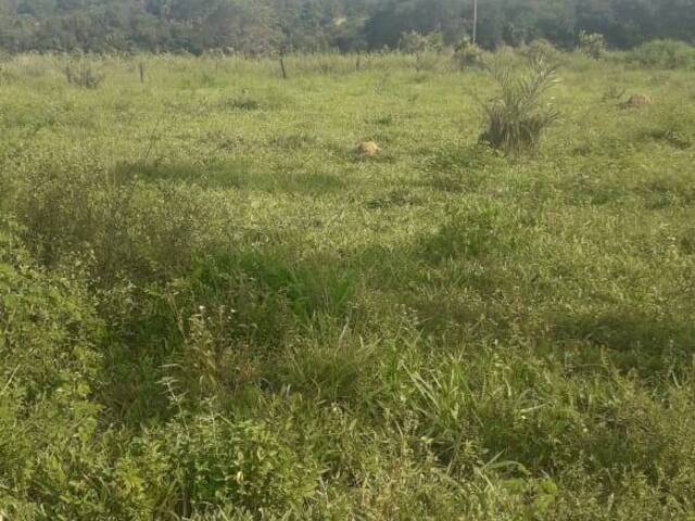 Chácara para Venda em Aliança do Tocantins - 4
