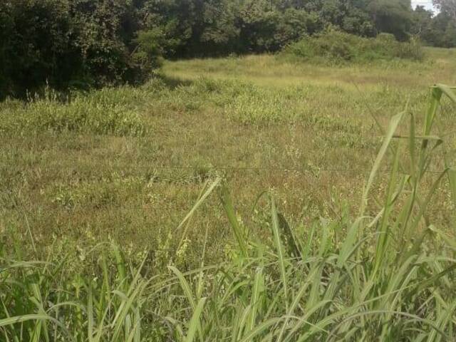 Chácara para Venda em Aliança do Tocantins - 5