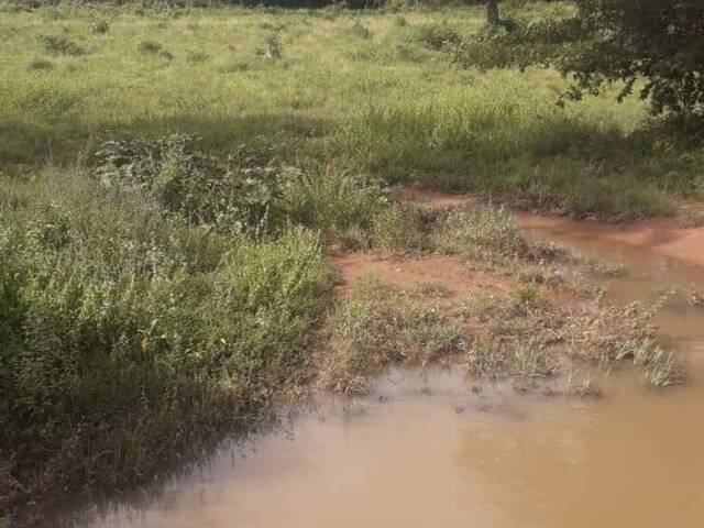 #1662 - Chácara para Venda em Aliança do Tocantins - TO - 3