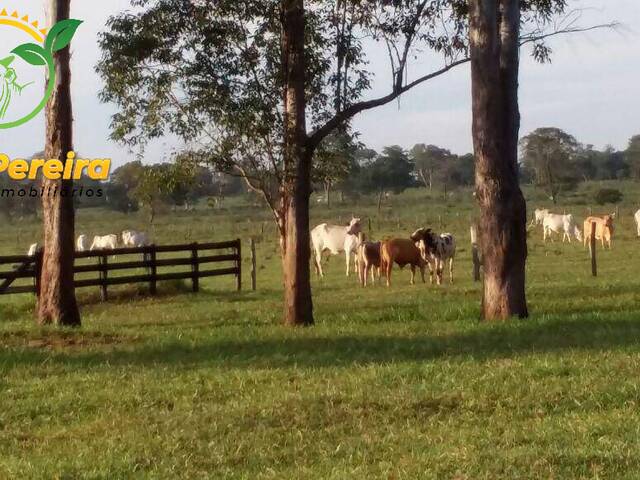 Fazenda para Venda em Nioaque - 5