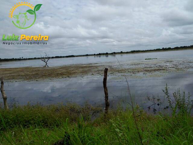 #1618 - Fazenda para Venda em Formoso do Araguaia - TO - 2