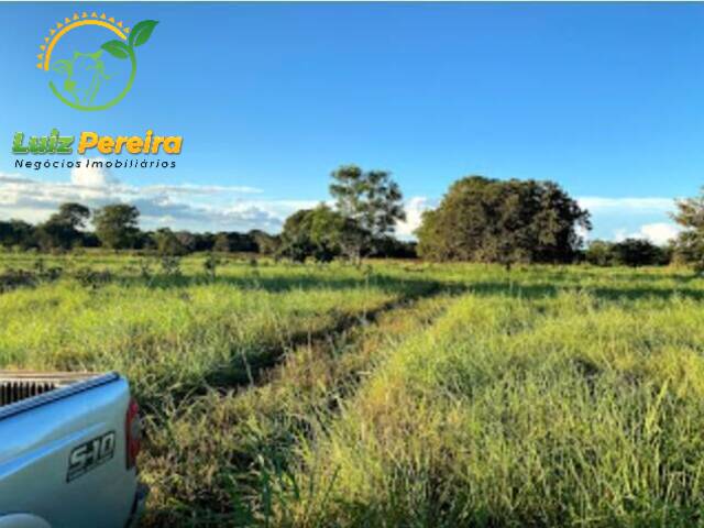 Fazenda para Venda em Formoso do Araguaia - 5