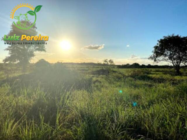Fazenda para Venda em Formoso do Araguaia - 4