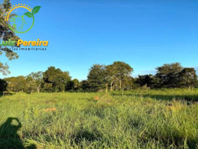 #1669 - Fazenda para Venda em Formoso do Araguaia - TO - 3