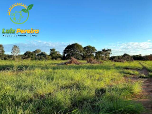 #1669 - Fazenda para Venda em Formoso do Araguaia - TO - 2