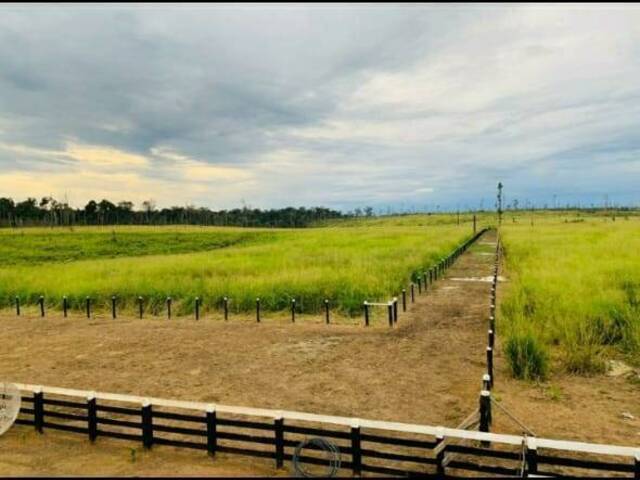 #1671 - Fazenda para Venda em Pacajá - PA - 2