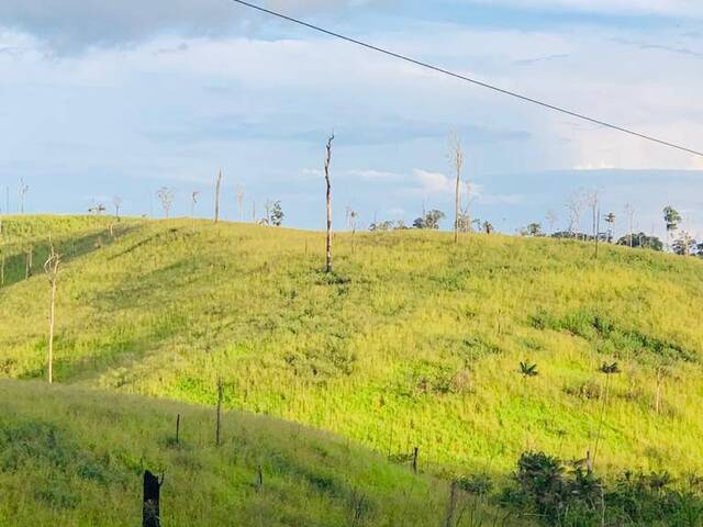 #1671 - Fazenda para Venda em Pacajá - PA - 3