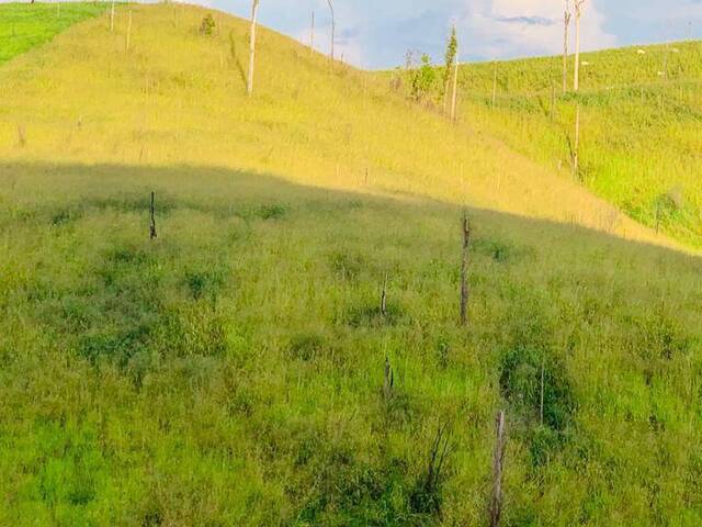 Fazenda para Venda em Pacajá - 4