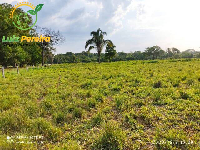 Fazenda para Venda em Pacajá - 5