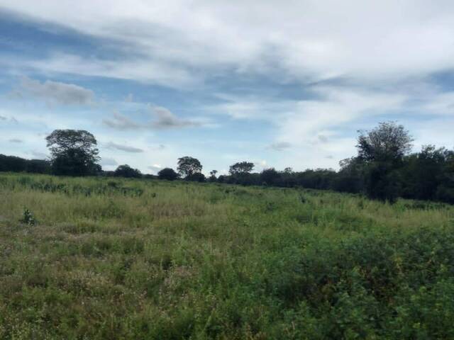 #1682 - Fazenda para Venda em Marianópolis do Tocantins - TO - 2