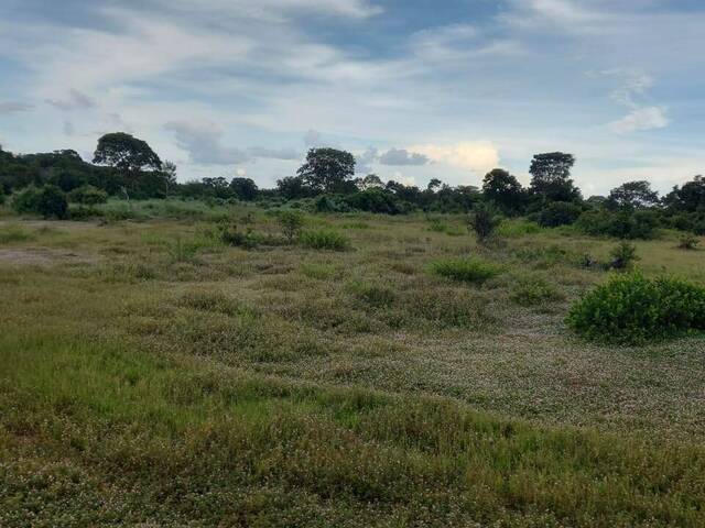 #1682 - Fazenda para Venda em Marianópolis do Tocantins - TO - 3