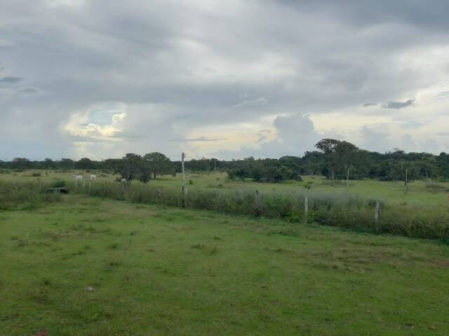 #1682 - Fazenda para Venda em Marianópolis do Tocantins - TO - 1