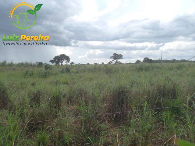 Fazenda para Venda em Marianópolis do Tocantins - 4