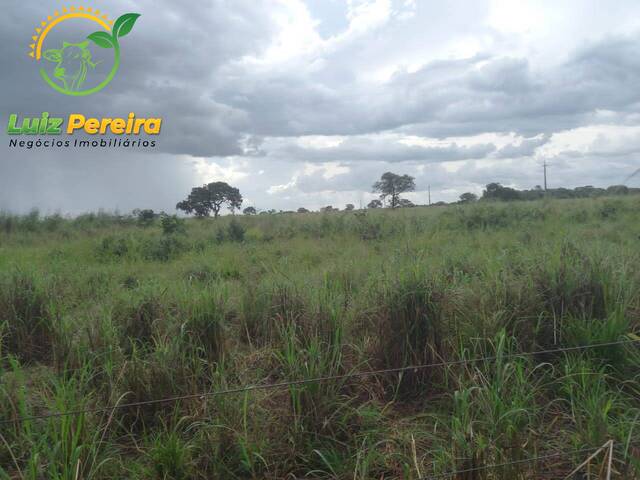 Fazenda para Venda em Marianópolis do Tocantins - 5
