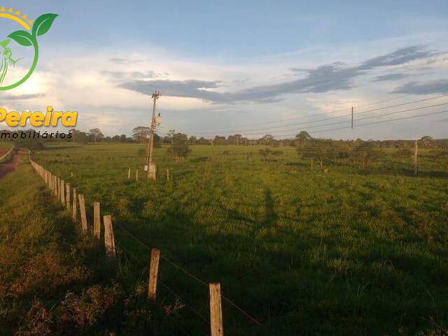 Fazenda para Venda em Terenos - 5