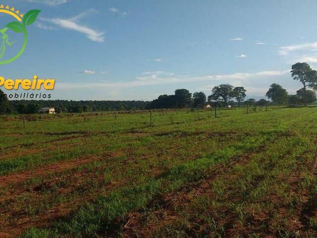 Fazenda para Venda em Terenos - 4