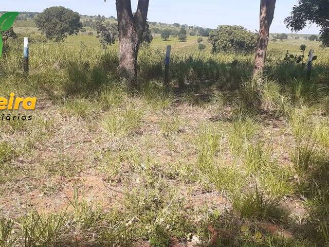 Fazenda para Venda em Figueirão - 4