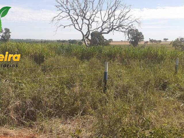 Fazenda para Venda em Figueirão - 5