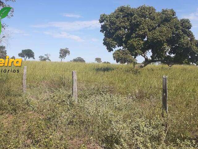 #1684 - Fazenda para Venda em Figueirão - MS - 2