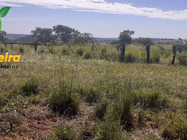 #1684 - Fazenda para Venda em Figueirão - MS - 3