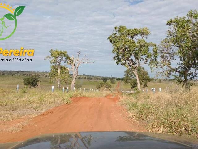 #1685 - Fazenda para Venda em Figueirão - MS - 1