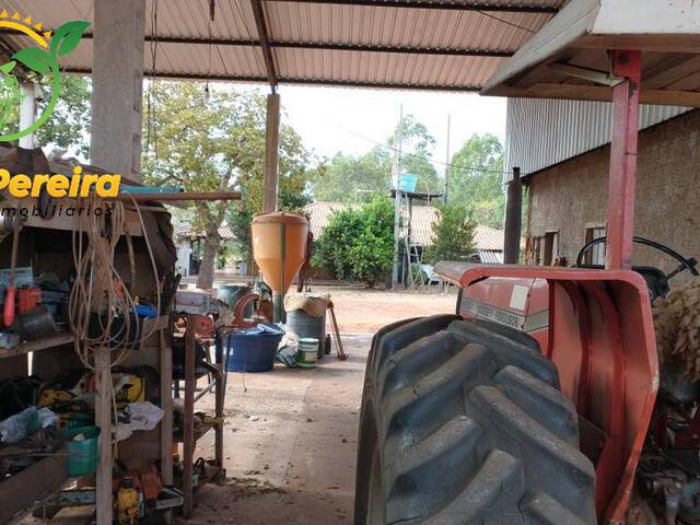 Fazenda para Venda em Figueirão - 4