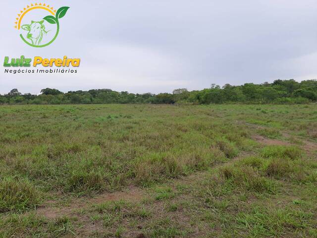 #1690 - Fazenda para Venda em Marianópolis do Tocantins - TO - 1