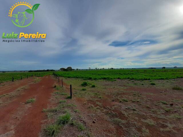 #1690 - Fazenda para Venda em Marianópolis do Tocantins - TO - 3