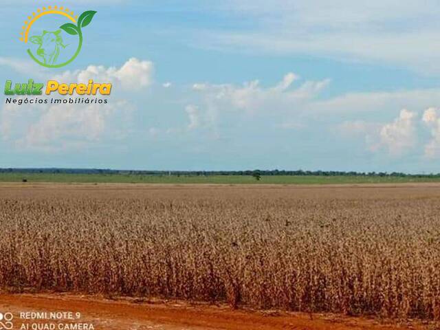 Fazenda para Venda em Anaurilândia - 5