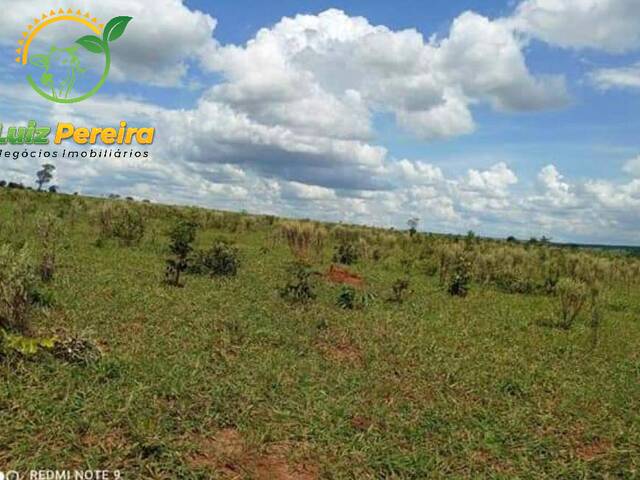 Fazenda para Venda em Anaurilândia - 4
