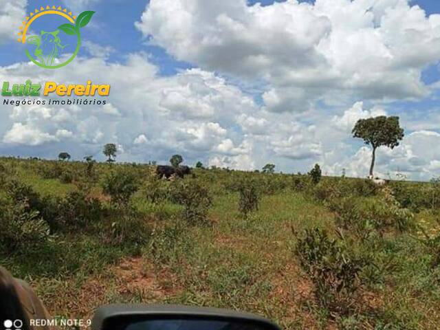 #1696 - Fazenda para Venda em Anaurilândia - MS - 1