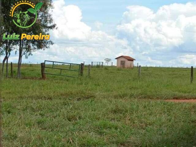 #1696 - Fazenda para Venda em Anaurilândia - MS - 2