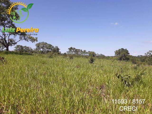 Fazenda para Venda em Camapuã - 4