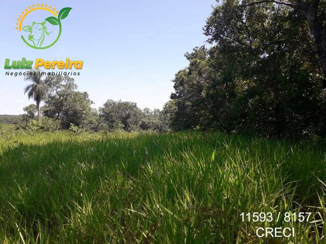 Fazenda para Venda em Camapuã - 5