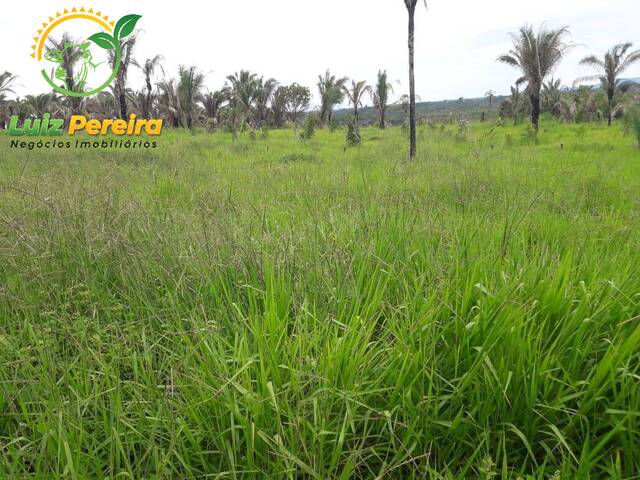 Fazenda para Venda em Recursolândia - 5