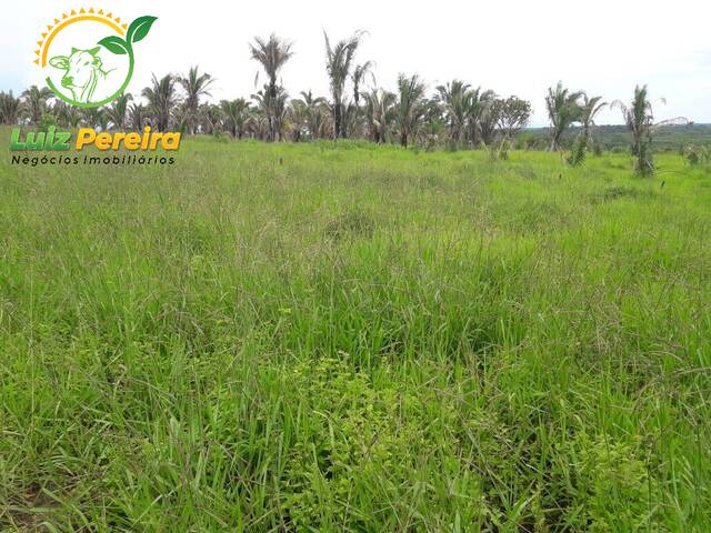 Fazenda para Venda em Recursolândia - 4